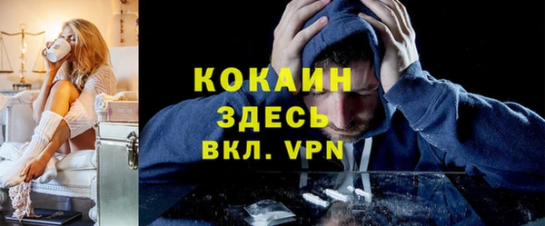 шишки Осинники