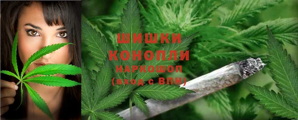 ПСИЛОЦИБИНОВЫЕ ГРИБЫ Аркадак