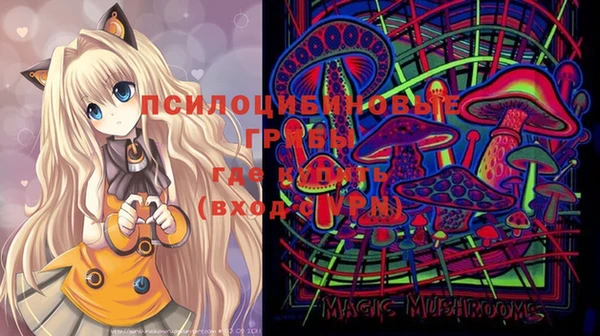 первитин Арсеньев